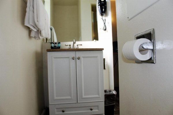 Big Pines Mountain House image 11