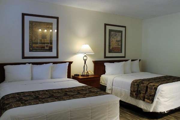 Big Pines Mountain House image 14