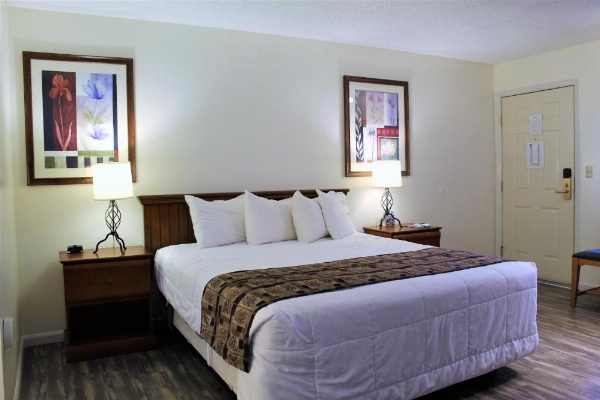 Big Pines Mountain House image 23