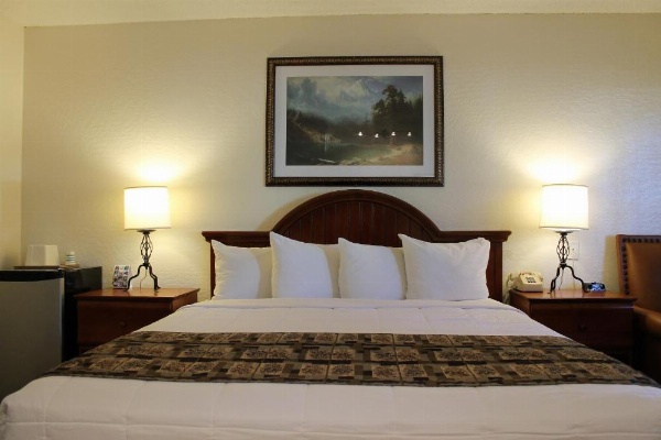 Big Pines Mountain House image 34