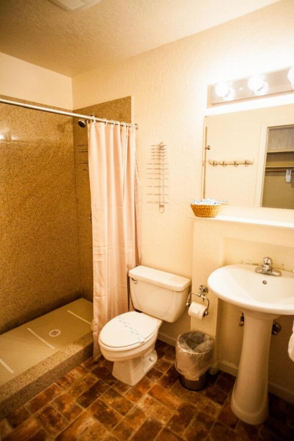 Big Pines Mountain House image 60