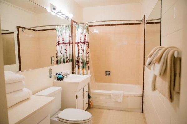 Big Pines Mountain House image 67