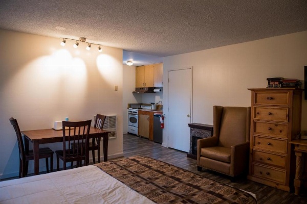 Big Pines Mountain House image 78