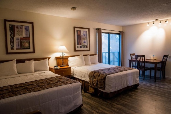 Big Pines Mountain House image 80