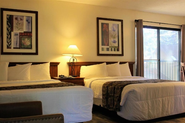 Big Pines Mountain House image 83