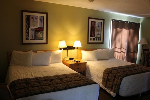 Big Pines Mountain House image 86