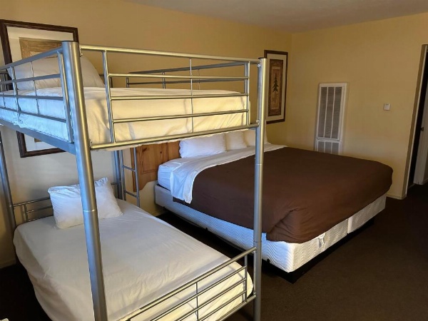 Big Pines Mountain House image 92